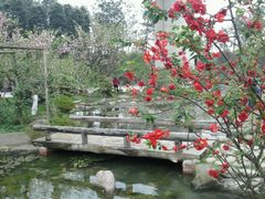 -秀丽东方
