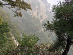 iphone_upload_pic-王顺山国家森林公园