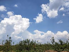 -白鹿原葡萄主题公园