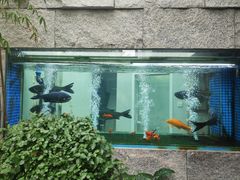 -又见炊烟私房菜(敬亭路店)