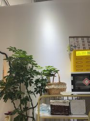 -今玥美甲美睫