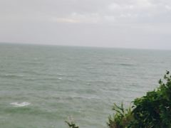 -杨梅坑