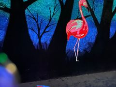 -广州长隆飞鸟乐园