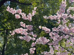 -静安雕塑公园