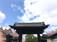 -醍醐寺