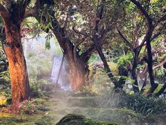 -Chom Cafe and Restaurant