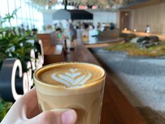 -Seesaw Coffee(朝阳大悦城店)