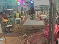 -大型宠物商超·宠海王国·宠物猫狗活体·用品·美容(新世界百货重庆店)