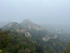 -大岭沟猕猴桃谷风景区