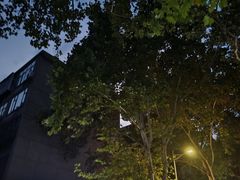 -健康路夜市