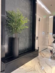 -奥斯芬·欧系贵族SPA