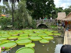 -中国科学院西双版纳热带植物园
