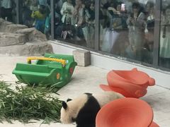 -重庆动物园·东二门售票处