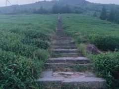 -东白山