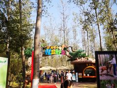 -合肥滨湖国家森林公园