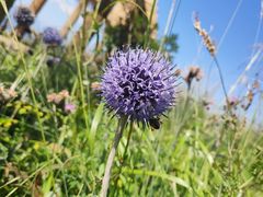 -白草畔自然风景区