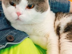 -瑞派·关忠动物医院·异宠专科·犬猫肿瘤·皮肤专科(望京店)