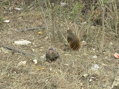 -重庆云阳龙缸景区