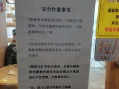 -楼上猫咖(罗湖店)