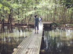 -西溪南古村落