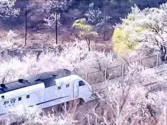 -居庸关长城