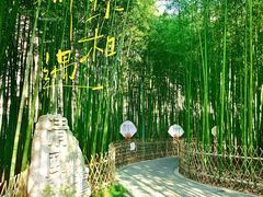 -陈家山荷花公园