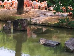 -上海野生动物园