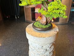 -映水芙蓉(上海万象城店)