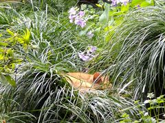 -龙华寺