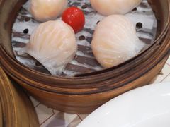 -赏点粤式点心(广州塔店)