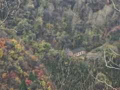 -黑河国家森林公园