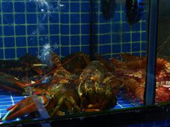 -四川小胡子海鲜(丁村万人海鲜广场店)