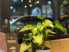 -脉冲品质汽美·贴膜(闵行店)