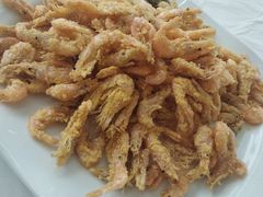 -渔民船说·北塘海鲜·天津菜·海肠捞饭(北塘古镇店)