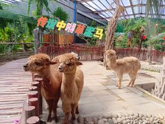 -呀路古热带植物园