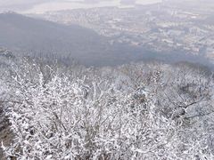 -紫金山索道-售票处