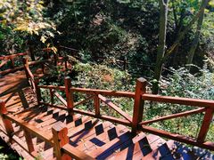 -大岭沟猕猴桃谷风景区