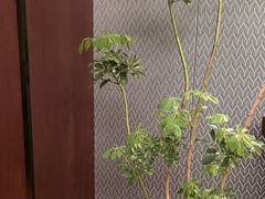 -钱塘宴(东站西子国际店)
