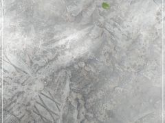 -嵩明马春能牛菜馆(七步场社区农贸市场店)