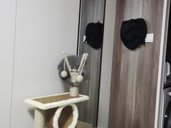 -九田家黑牛烤肉料理(三墩店)