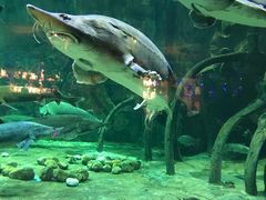 -华夏文旅海洋公园