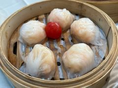 新鲜虾饺-益健美食大广场(北岭店)
