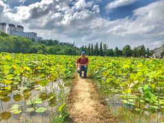 -贵阳市花溪国家城市湿地公园