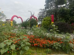 -松山湖梦幻百花洲