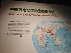 -四川大学博物馆