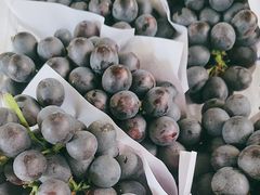 -马陆小张葡萄园农家乐