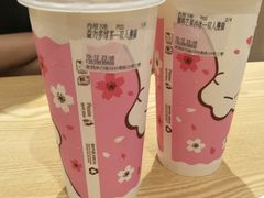 益力多绿茶-绒爪撸猫下午茶·猫咖