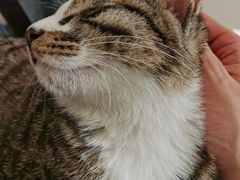 -平行世界·猫咖(首经贸店)