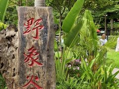 -野象谷景区