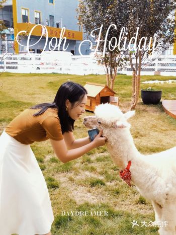 深圳探店 | 打卡超治愈的萌宠乐园